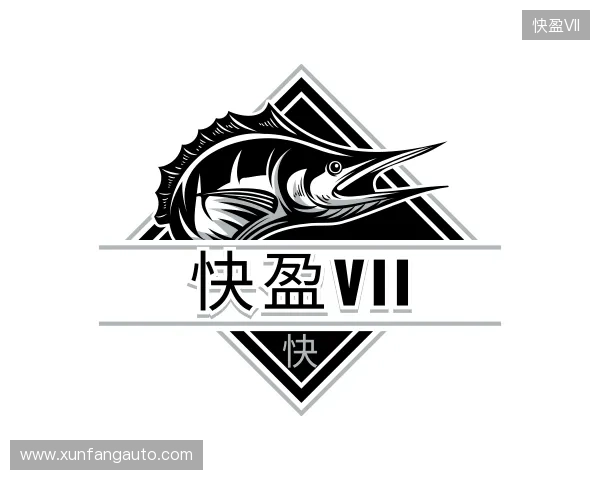 介绍快盈VII